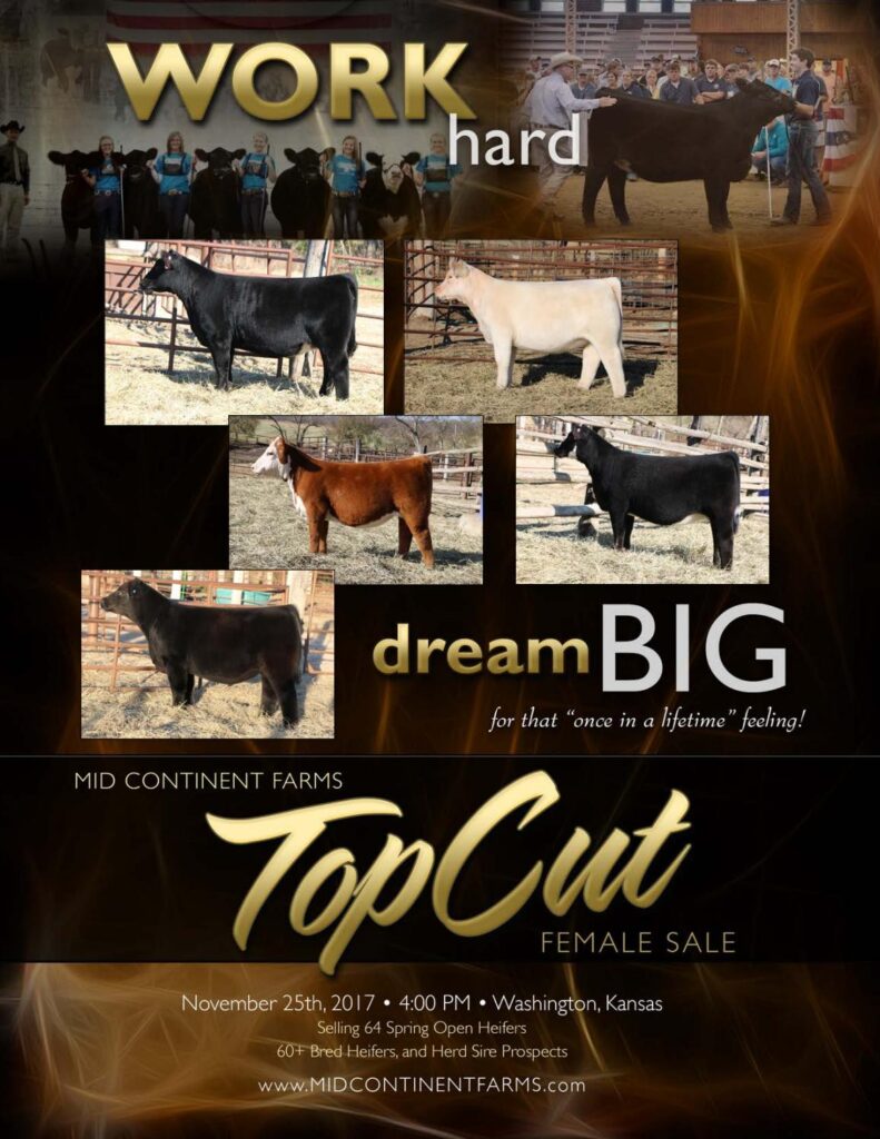 Mid Continent Farms - 2017 Female Sale