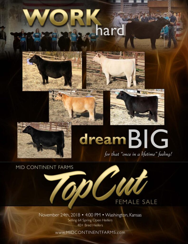 Mid Continent Farms - 2018 Female Sale