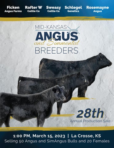 Mid-Kansas Angus Breeders - 2023 Spring Bull Sale