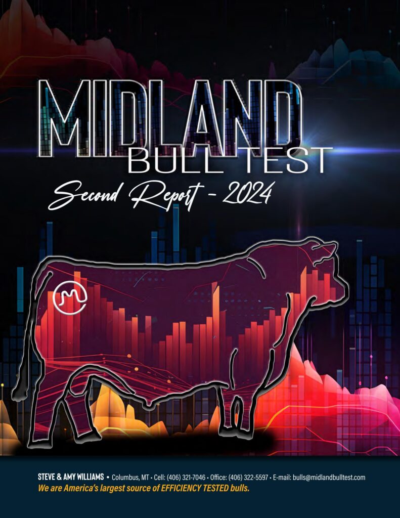 Midland Bull Test - 2024 Second Report