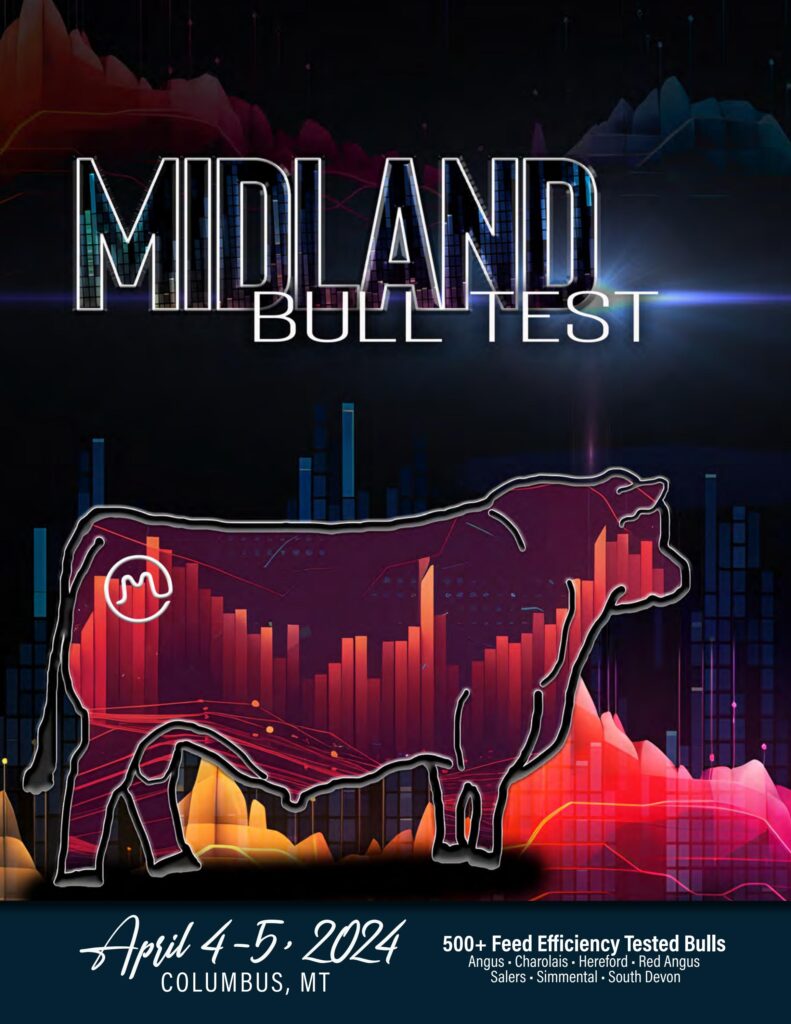 Midland Bull Test