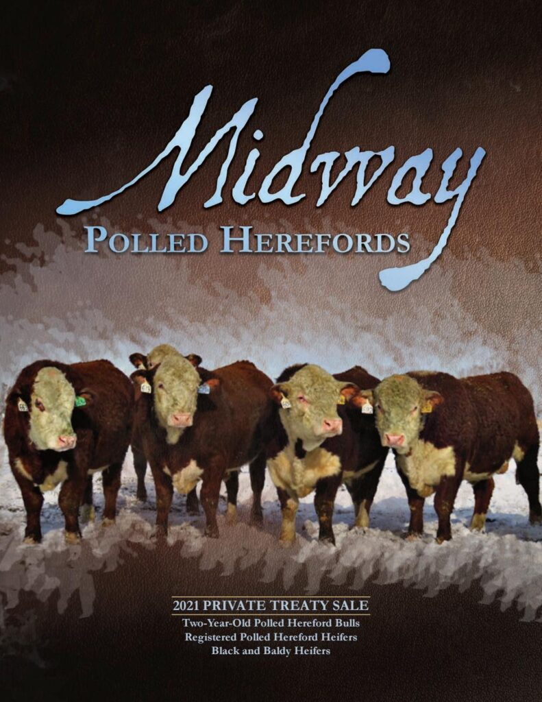 Midway Polled Herefords - 2021 Spring Private Treaty Sale