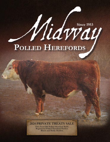 Midway Polled Herefords 2024 Spring Private Treaty Sale