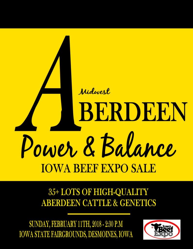 Midwest Aberdeen- 2018 Iowa Beef Expo Sale