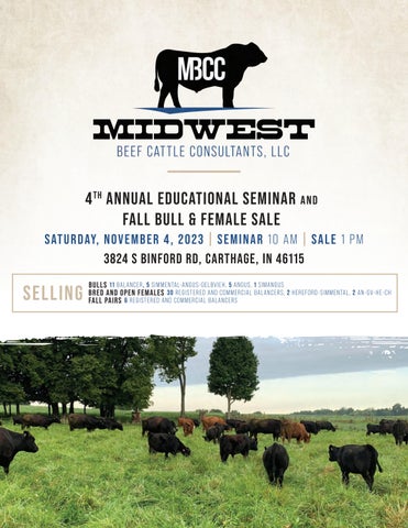 Midwest Beef Cattle Consultants - 2023 Fall Bull & Female Sale