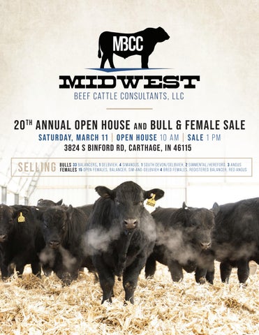 Midwest Beef Cattle Consultants - 2023 Spring Sale