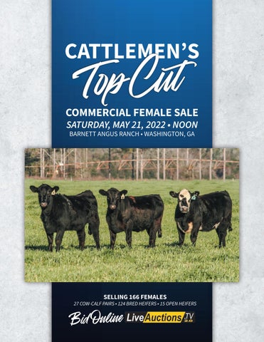 Mike Jones - 2022 Spring Cattlemen's Top Cut Commercial Female Sale