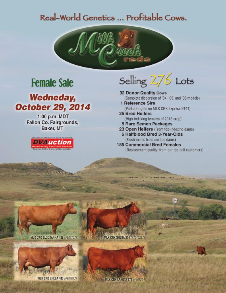 Milk Creek Reds - 2014 Mature Cow Herd Dispersal Sale