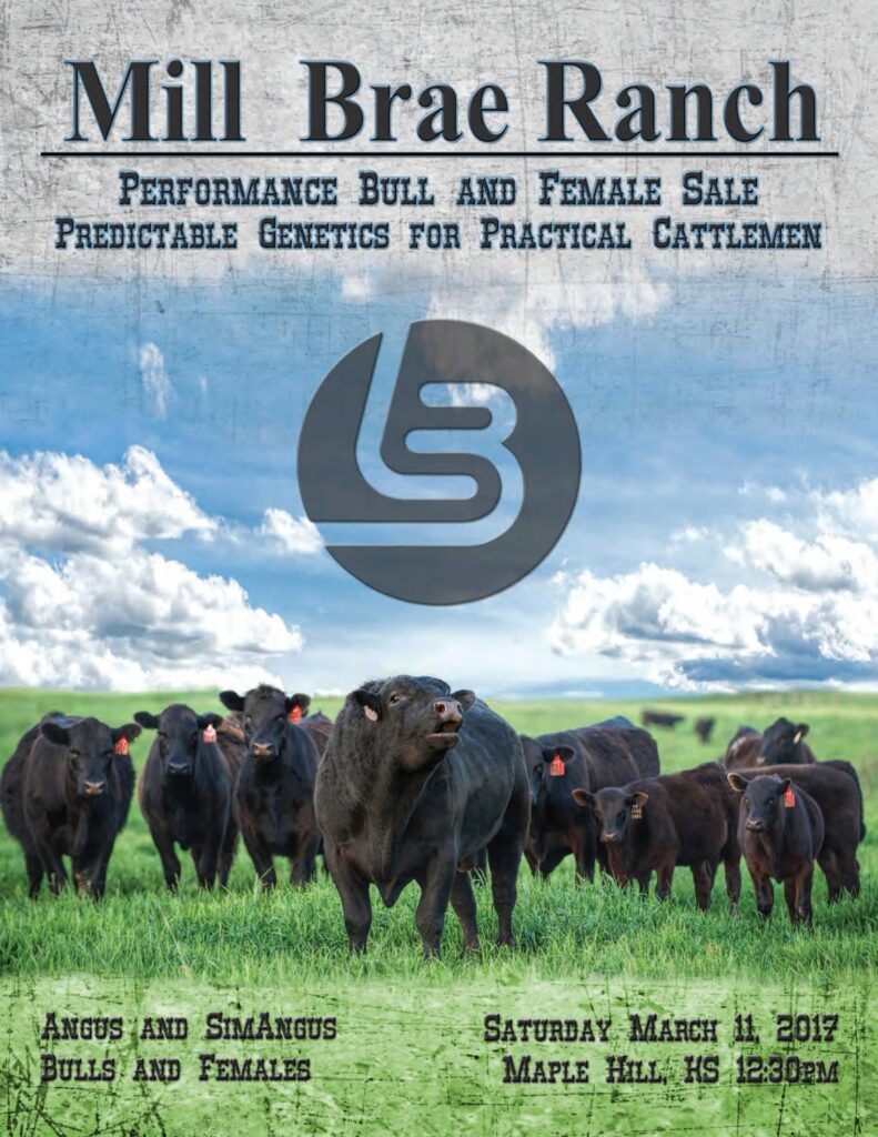 Mill Brae Ranch - 2017 Sale
