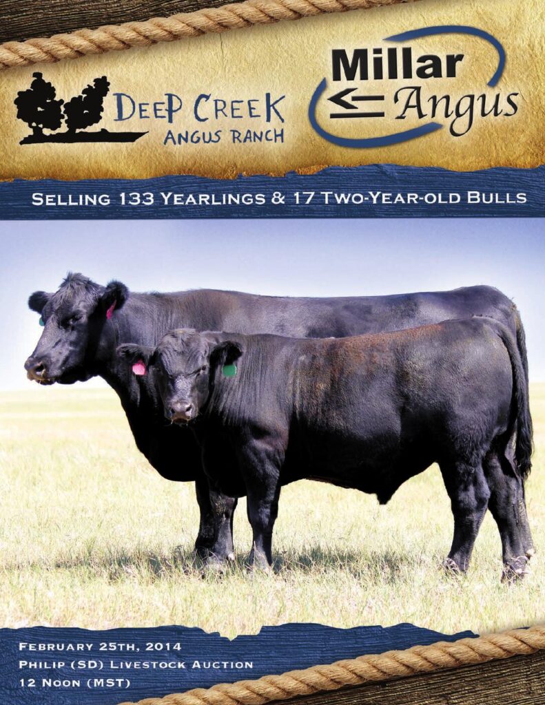Millar Angus and Deep Creek Angus - 2014 Annual Bull Sale