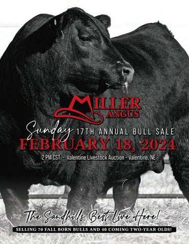 Miller Angus 17th Annual Bull Sale
