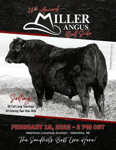 Miller Angus - 2023 Spring Sale