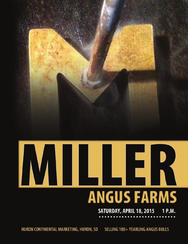 Miller Angus Farms - 2015 Bull Sale