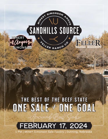 Minert Simonson Angus Sandhills Source Annual Bull Sale