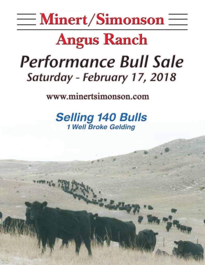 Minert/Simonson Angus - 2018 Bull Sale