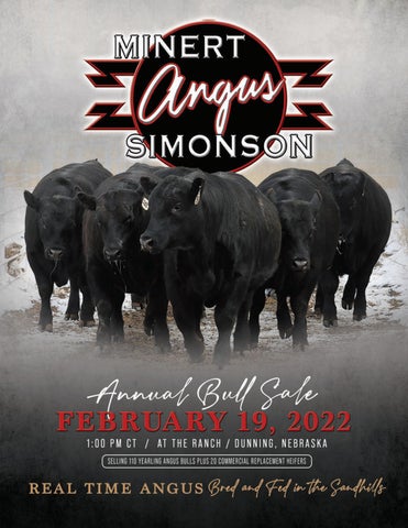 Minert/Simonson Angus - 2022 Spring Bull Sale