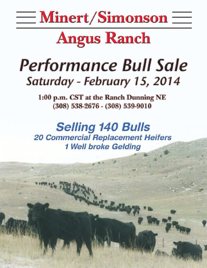 Minert/Simonson Angus Ranch - 2014 Performance Bull Sale