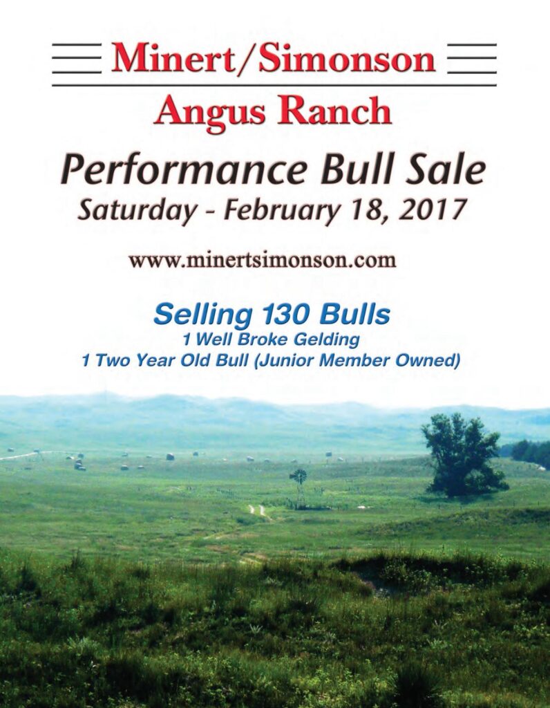 Minert/Simonson Angus Ranch - 2017 Performance Bull Sale