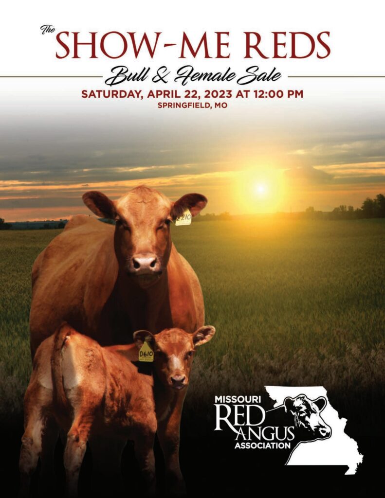 Missouri Red Angus Association - 2023 Show Me Reds Sale