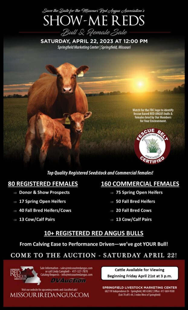 Missouri Red Angus Association - 2023 Show Me Reds Sale SMS