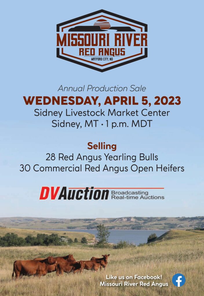Missouri River Red Angus - 2023 Annual Production Sale