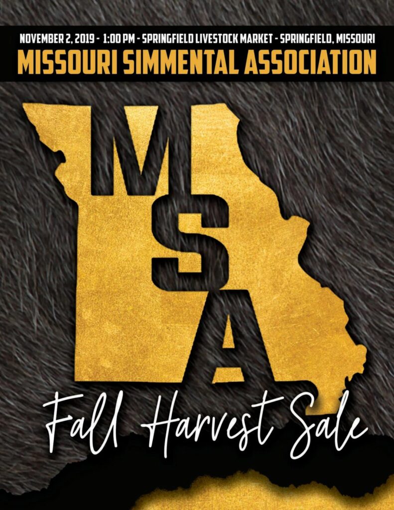 Missouri Simmental Assoc. - 2019 Fall Harvest Sale