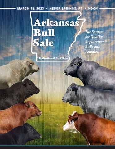 Mobley Livestock Marketing - 2023 Arkansas Bull Sale