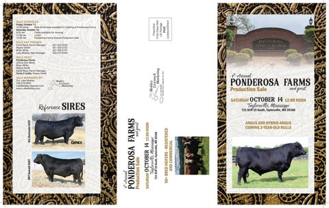 Mobley Livestock Marketing - Ponderosa Farms Tri-Fold Mailer