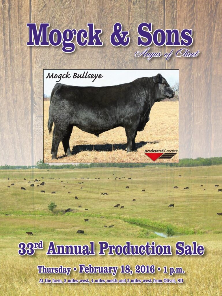 Mogck & Sons Angus - 2016 Bull Sale