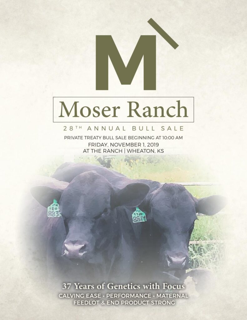 Moser Ranch - 2019 Fall Sale