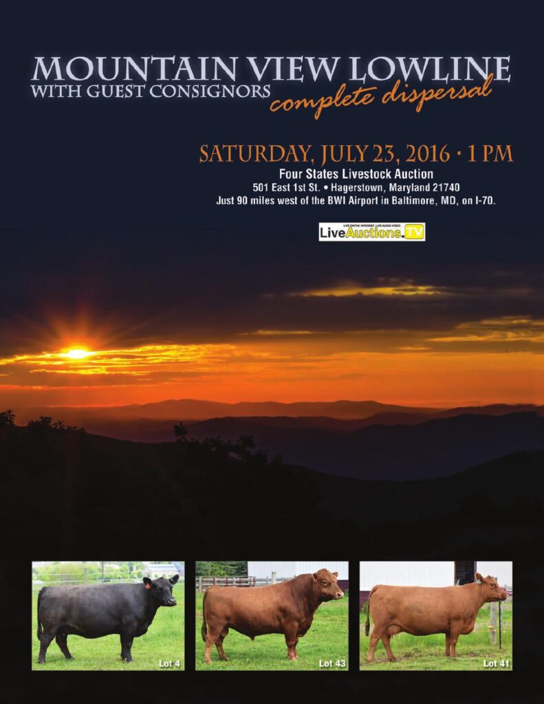 Mountain View Lowline - 2016 Complete Dispersal Sale