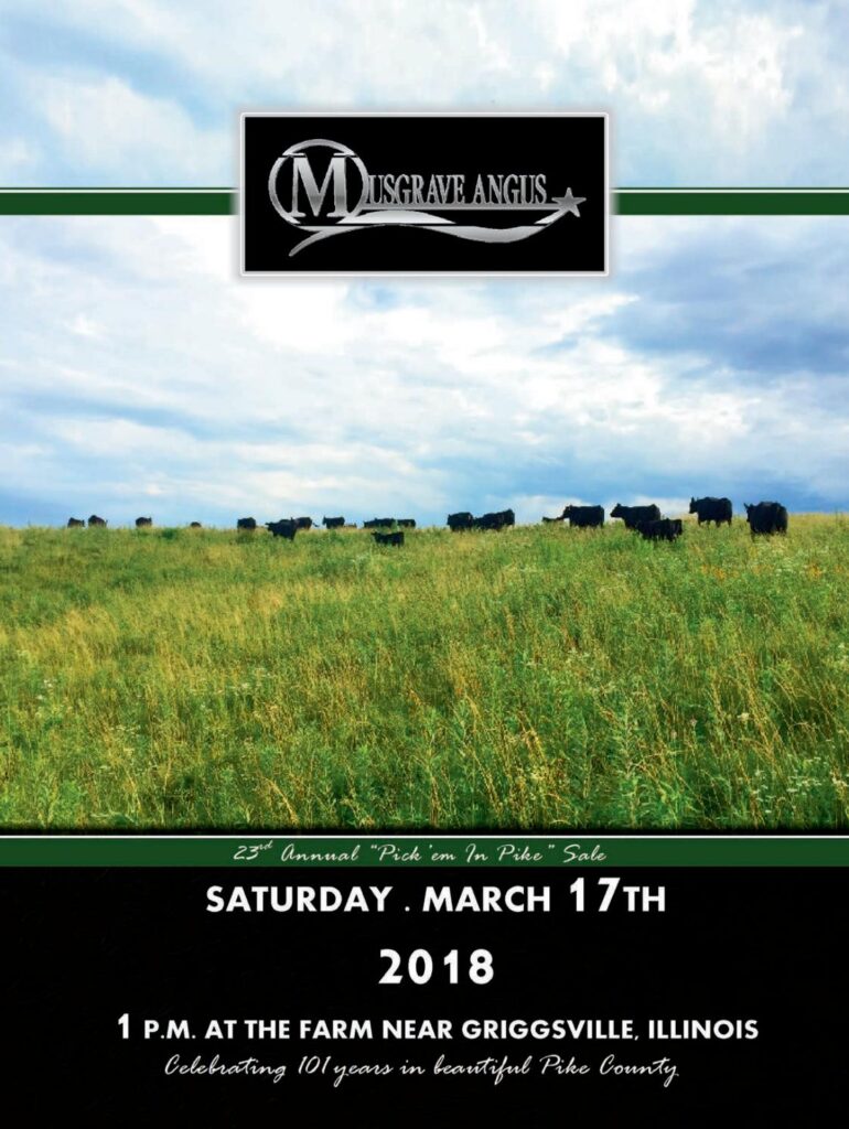Musgrave Angus - 2018 Bull Sale