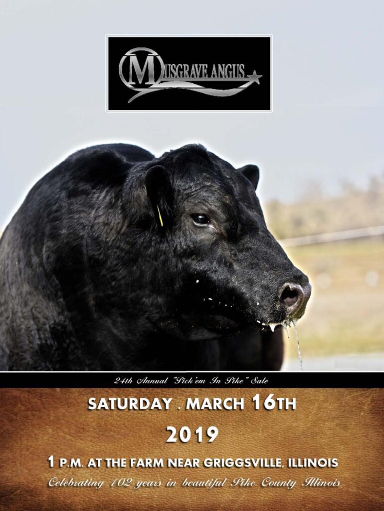 Musgrave Angus - 2019 Sale