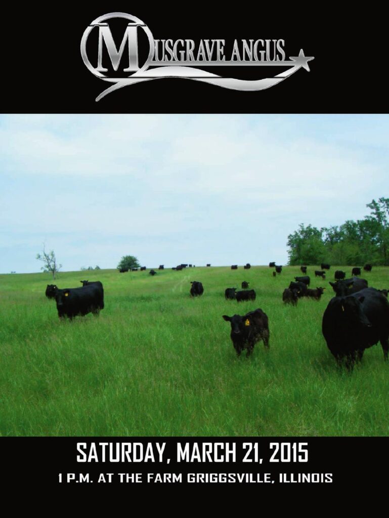 Musgrave Angus - 20th Annual 'PickEm in Pike' Sale