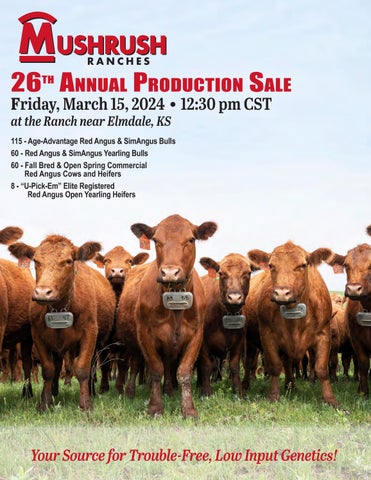 Mushrush Ranches 26th Annual Production Sale