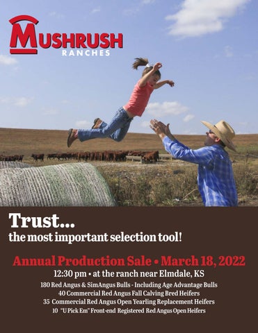 Mushrush Red Angus - 2022 Spring Sale