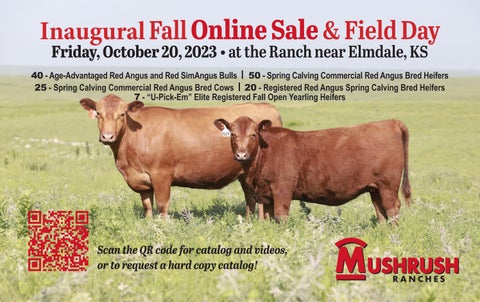 Mushrush Red Angus - 2023 Fall Sale Postcard