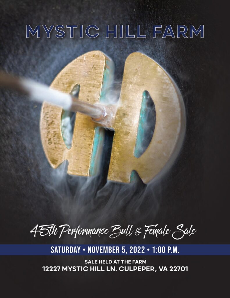 Mystic Hill Farms - 2022 Sale