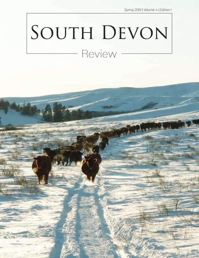 NASDA - 2019 South Devon Review