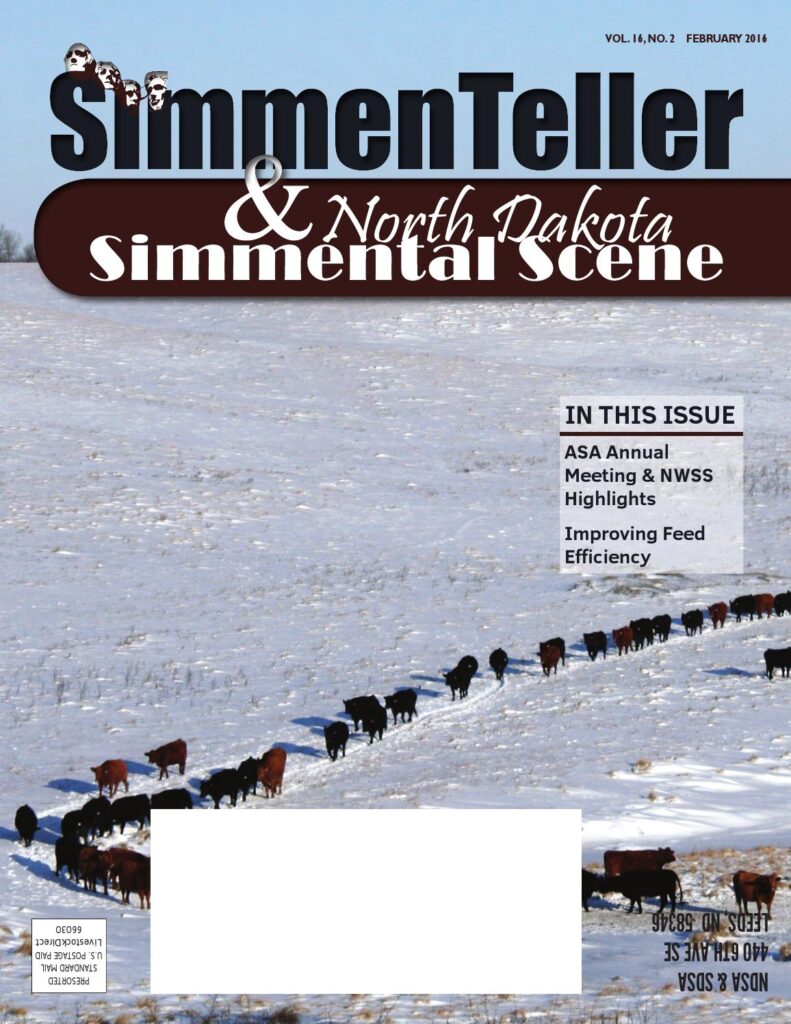 ND Simmental Scene/SD Simmenteller - February 2016