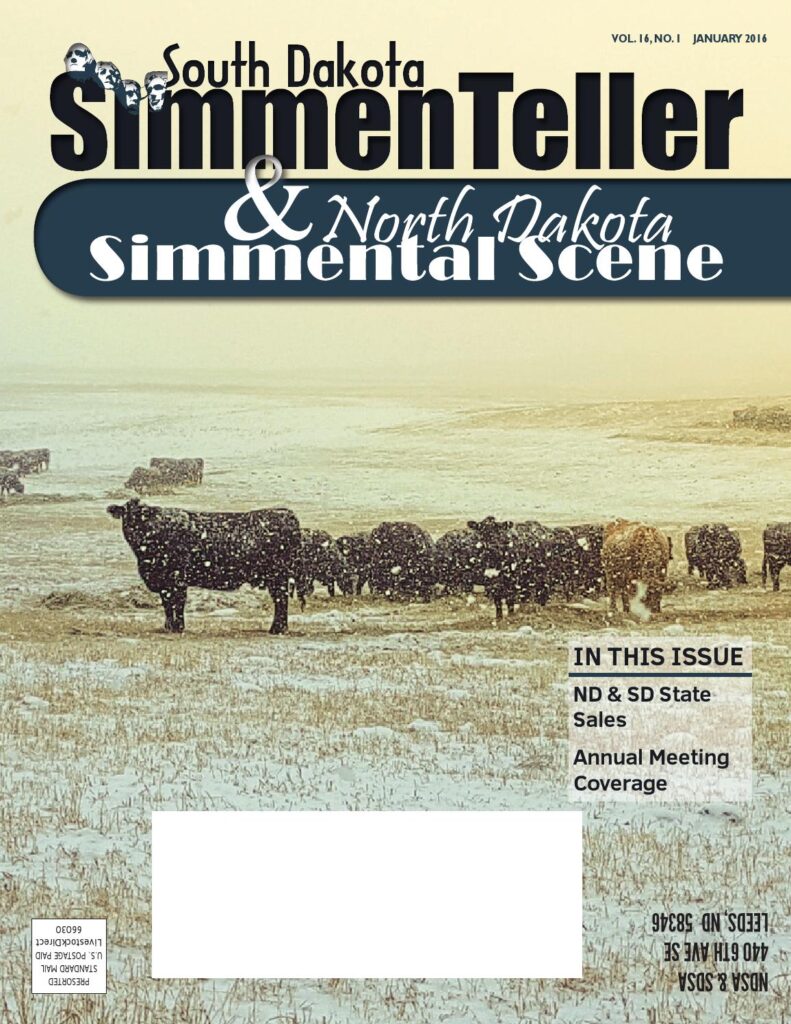 ND Simmental Scene/SD Simmenteller - January 2016