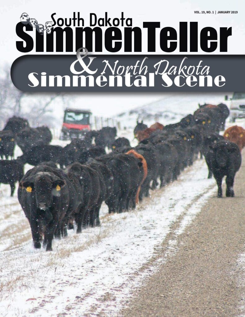 ND Simmental Scene/SD Simmenteller - January 2019