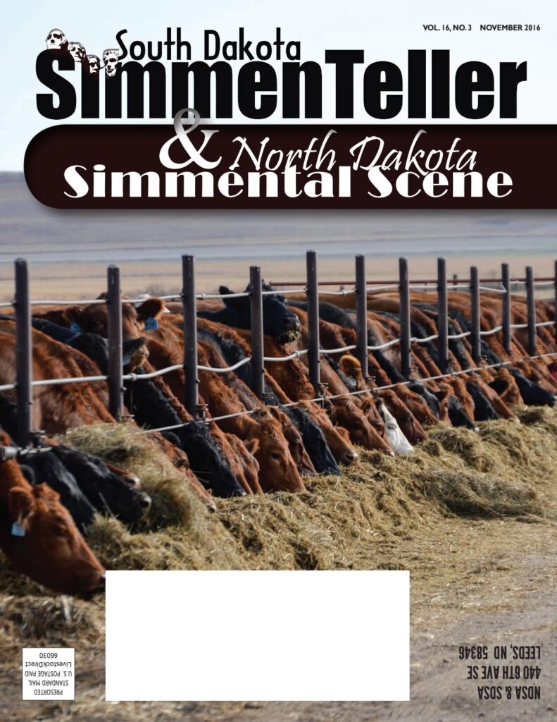 ND Simmental Scene/SD Simmenteller - November 2016