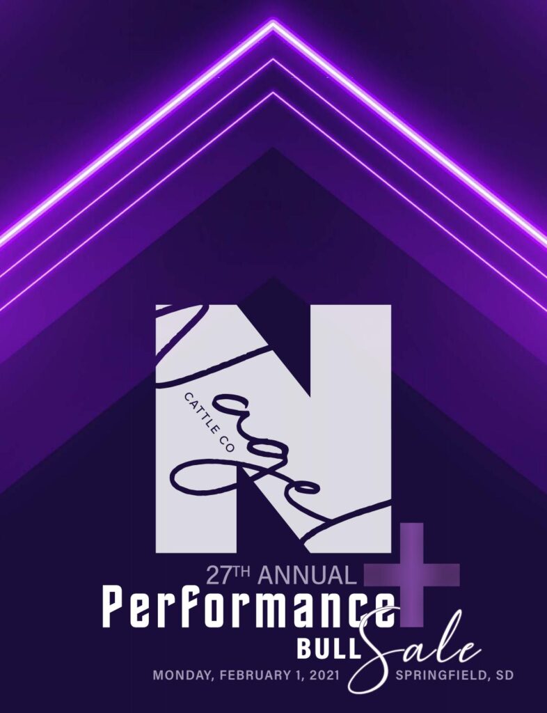 Nagel Cattle Company - 2021 Spring Performance Bull Sale