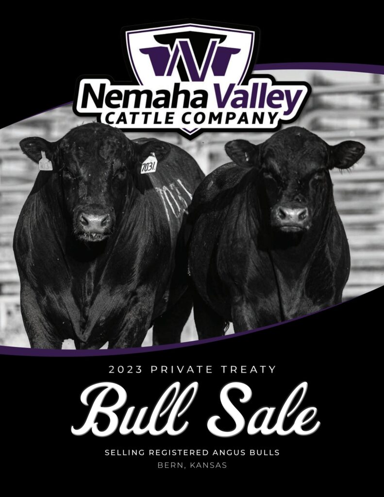 Nemaha Valley Cattle Company - 2023 Sale
