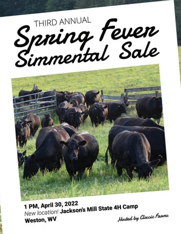 Nighthawk Advertising Solutions - 2022 Spring Fever Sale
