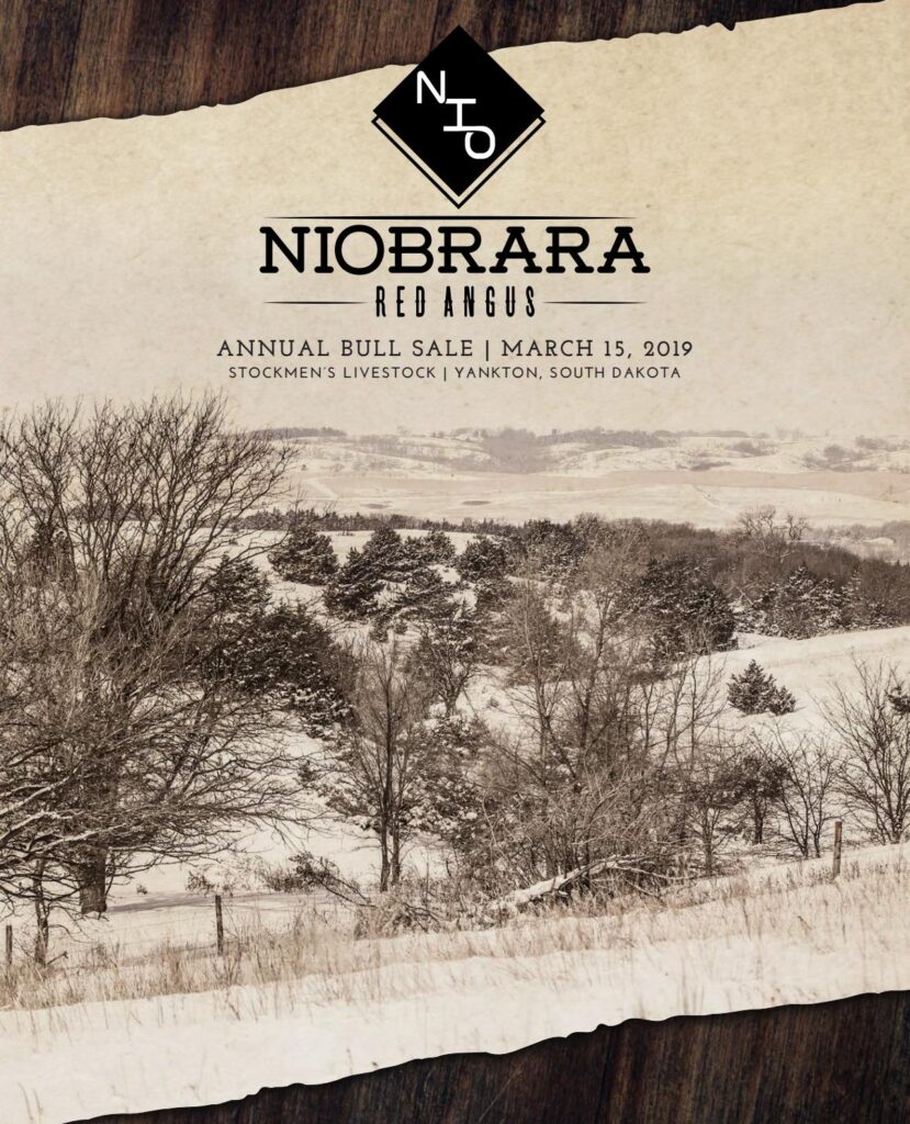 Niobrara Red Angus - 2019 Bull Sale