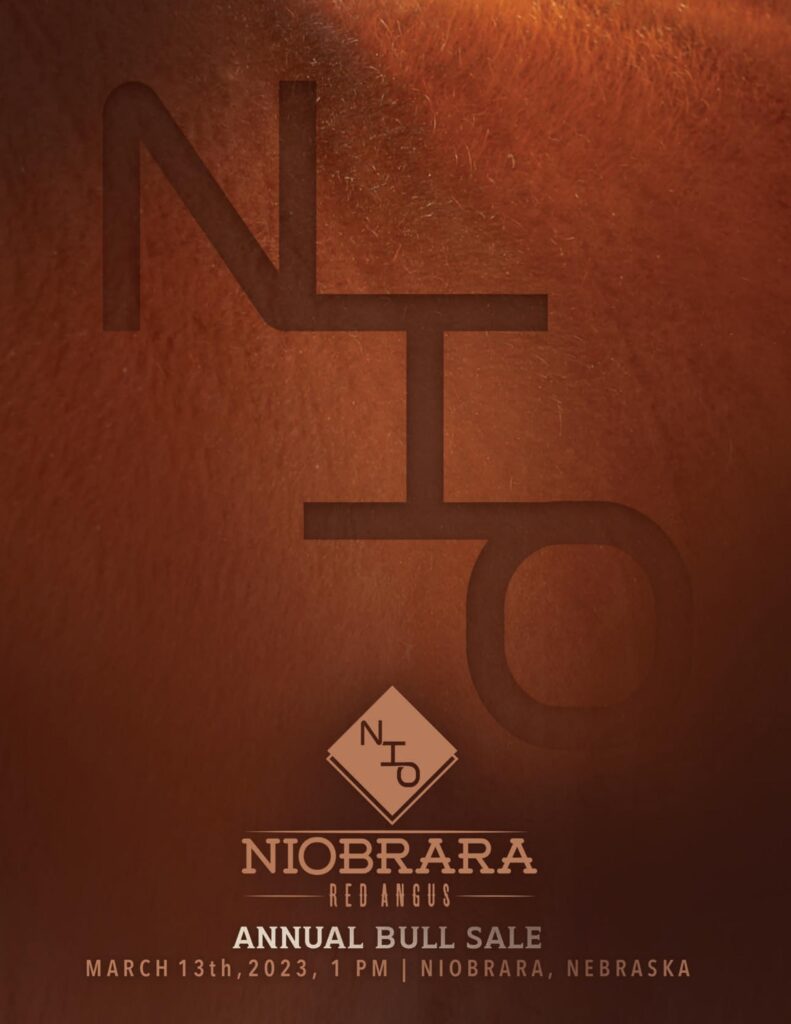Niobrara Red Angus - 2023 Spring Bull Sale