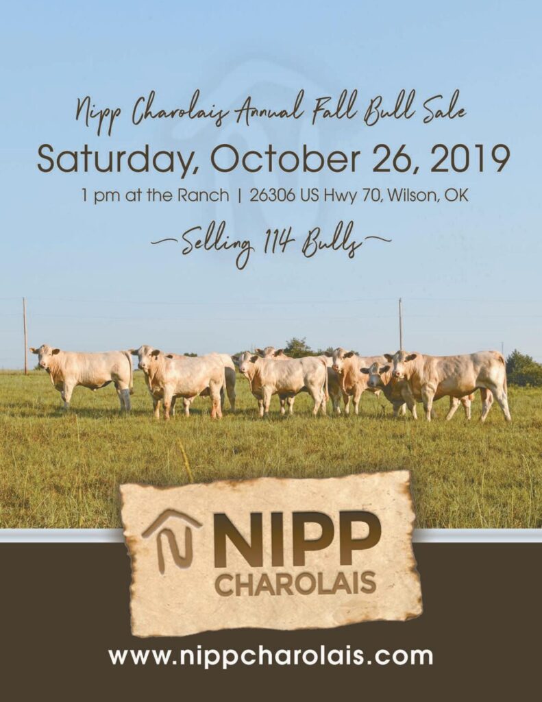Nipp Charolais - 2019 Fall Sale