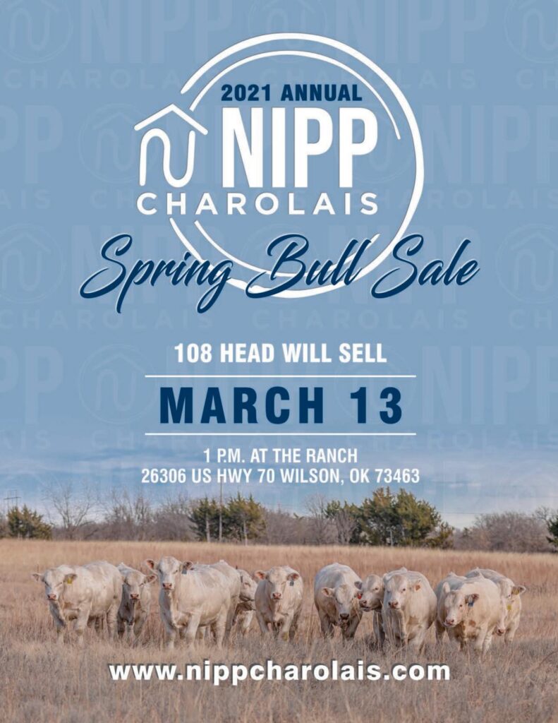 Nipp Charolais - 2021 Spring Sale